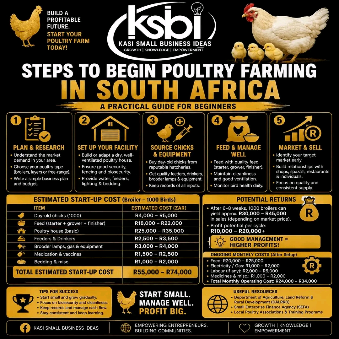 Build a Profitable Future: How to Start a Poultry Farming Business in South Africa