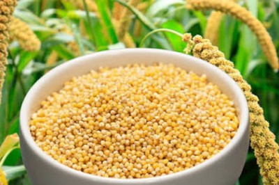 Cereal Grains: Millet