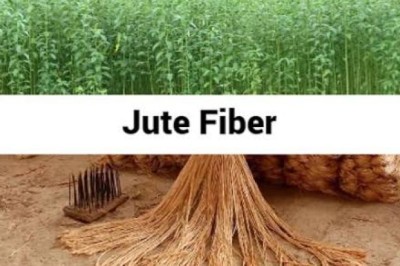 Everything You Need to Know About Specialty and Niche Crops: Jute (Fiber)